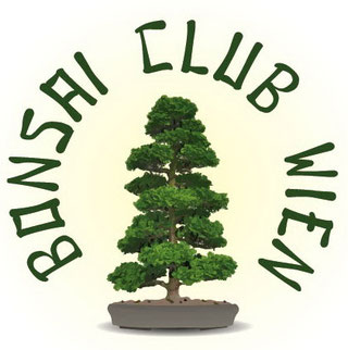 Bonsaiclub Wien